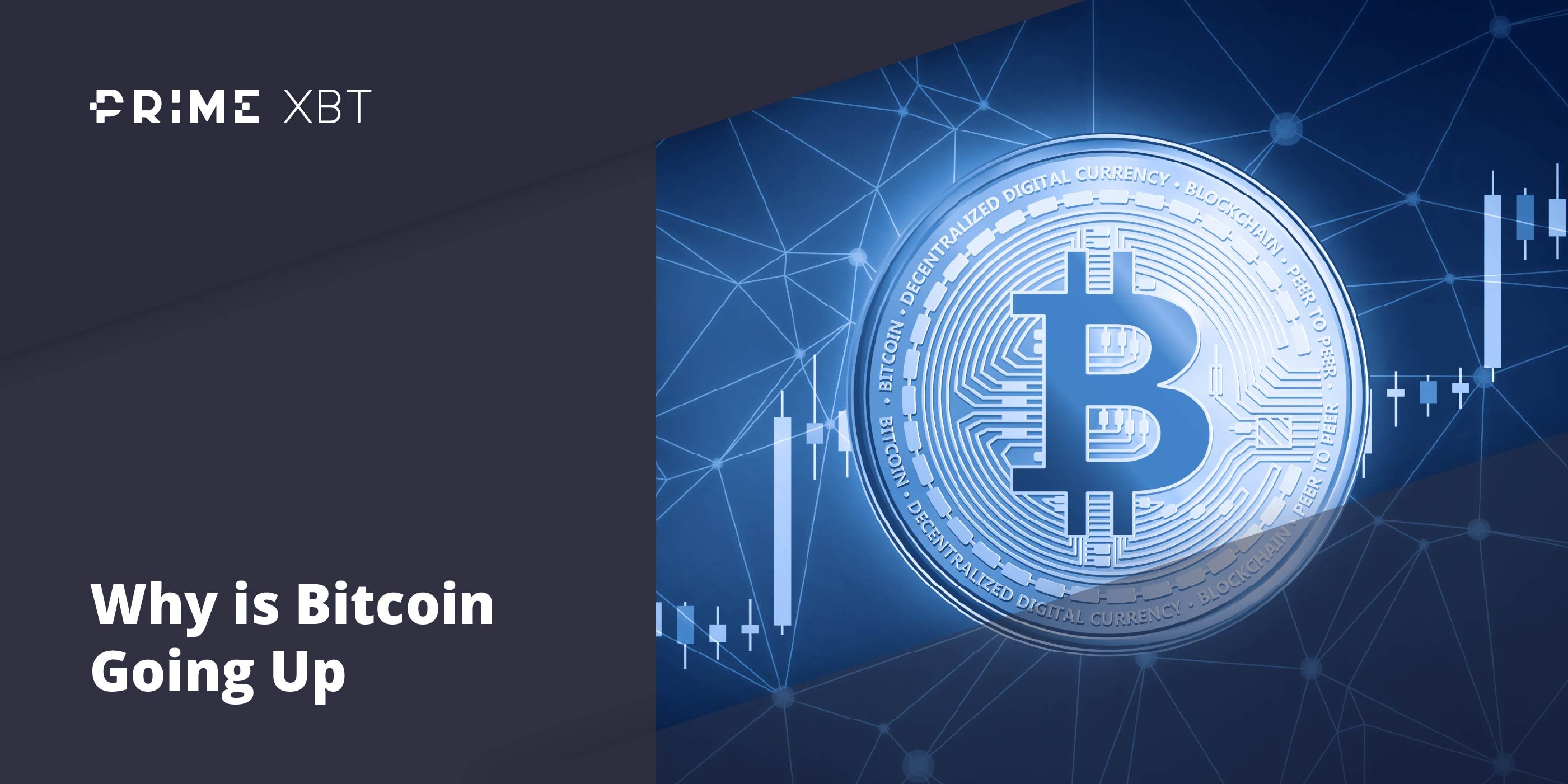 What To Do and What Not To Do When Bitcoin Is Dropping and Why Why Is Bitcoin Going Up Once Again? Key Factors Behind Bitcoin’s Next Bull Market - primexbt btc going up