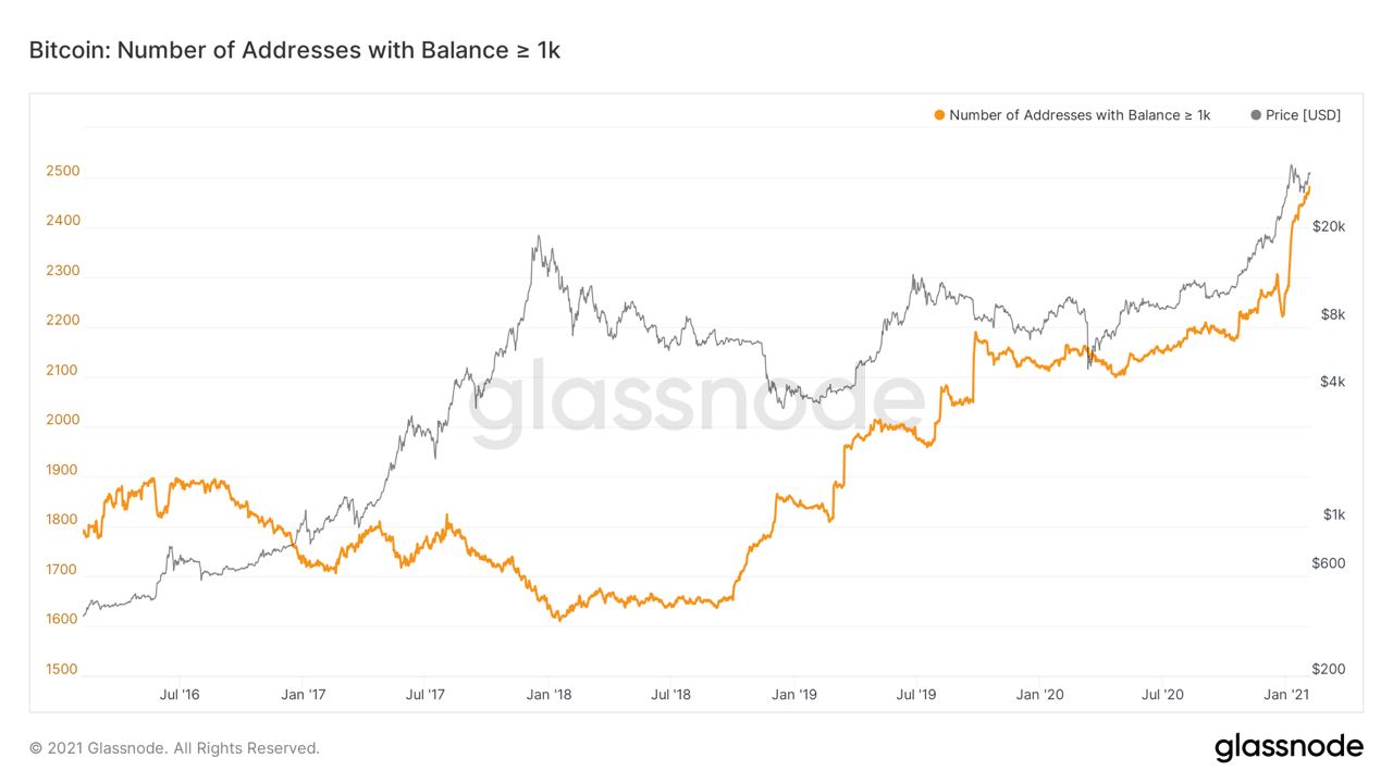 Market Research Report: Bitcoin and Ethereum Hit An All Time High, Altcoins Explode Market Research Report: Bitcoin and Ethereum Hit An All Time High, Altcoins Explode - BTC 1k addresses