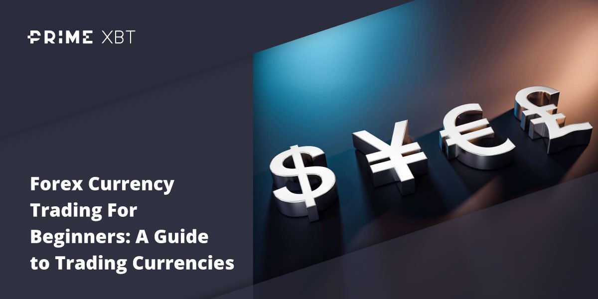 Currency Trading For Beginners: A Guide to Trading Currencies Currency Trading For Beginners: A Guide to Trading Currencies - forex primexbt