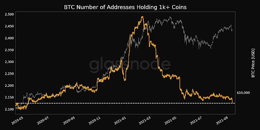 Market Research Report: Stocks and Crypto Crash In Tandem Forcing Margin Liquidations Market Research Report: Stocks and Crypto Crash In Tandem Forcing Margin Liquidations - market research 4